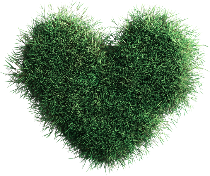 Ein grünes Herz steht für Nachhaltigkeit