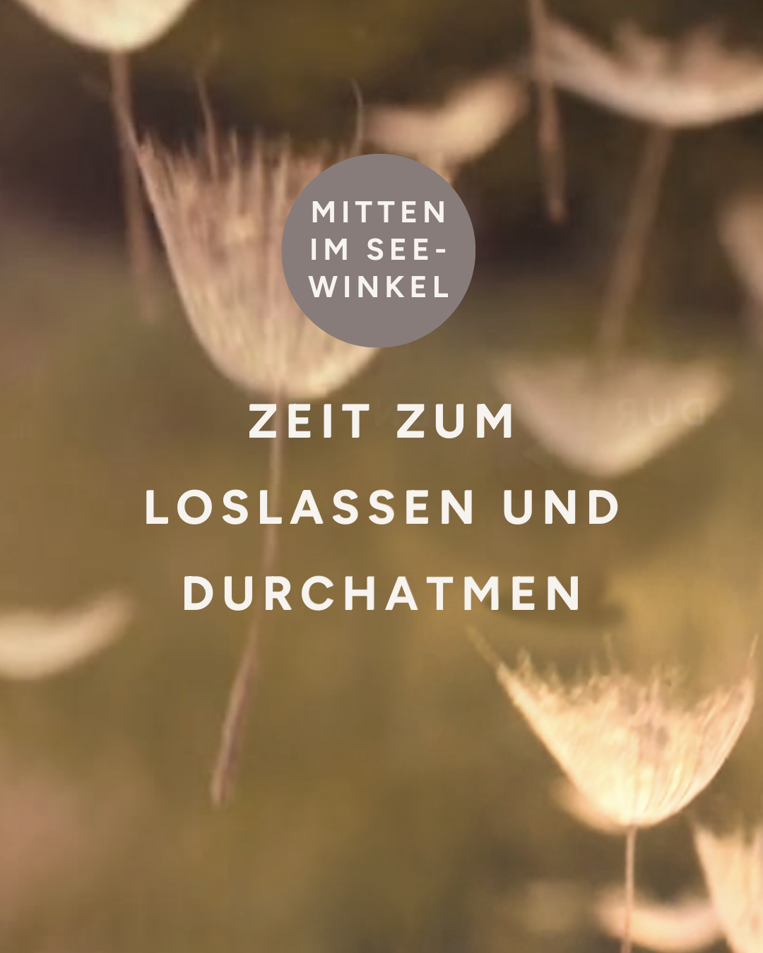 Schwebende Pflanzensamen im warmen Licht mit dem Schriftzug ‚Zeit zum Loslassen und Durchatmen.